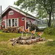 STIHL MS 212 C-BE MOOTTORISAHA 14"/35cm 63 PD3 - STIHL moottorisahat - 33770 - 4