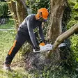 STIHL MSA 220 C-B AKKUSAHA 14"/35cm 36V ilman akkua ja laturia - STIHL akkusahat - 26751 - 4