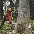 STIHL MS 400 C-M VW MOOTTORISAHA 18"/45cm 3/8" Rapid HEXA - STIHL moottorisahat - 31218 - 4